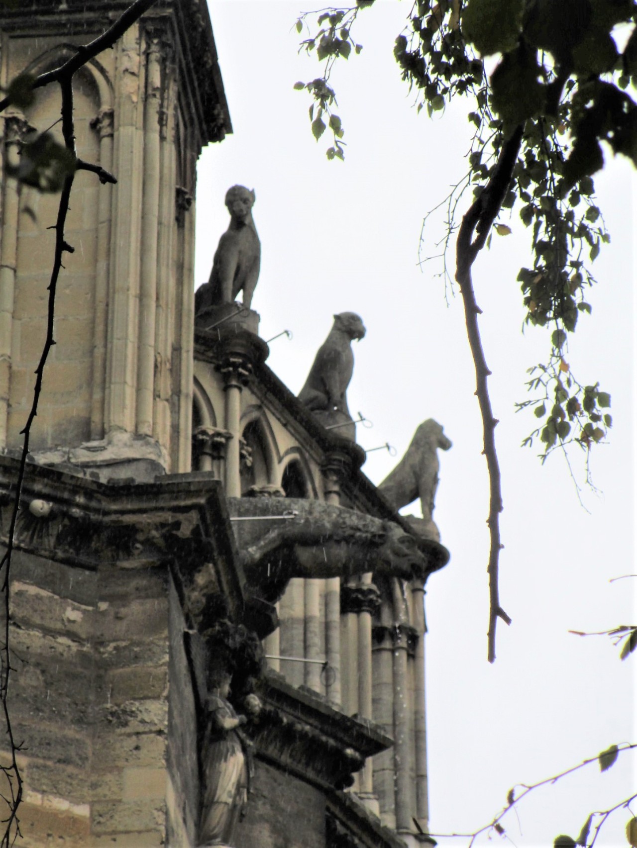A few gargoyles on the Basilica of Saint-Remi in Reims.  These guys were doing their job, spitting out water, because it was pouring rain when I took these pictures. #I was soaked to the skin  #I wont need an umbrella I said #Gothic architecture#medieval#France#travel photos