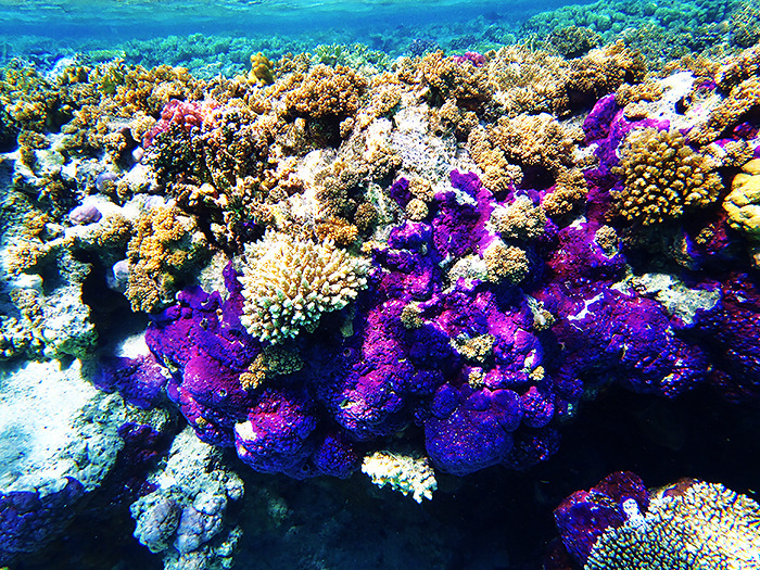 takemetothedungeons:  Satayah, Egypt - October 2013 