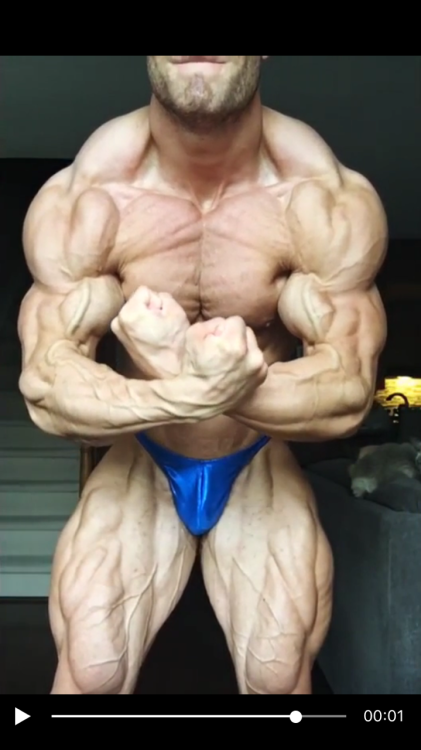 muscleroidaddict: Chris Bumstead