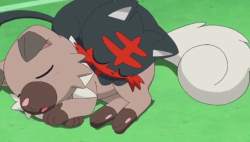 pokeaniepisodes: Evolution of Ash’s kitty & doggo Pokémon in the Sun & Moon series (◕ᴥ◕)