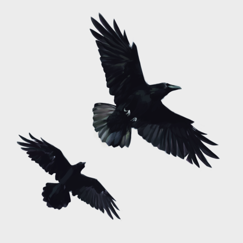 7-percent: Corvids… Great artwork, @herlocksholmes1888​ !!!I think these are not al