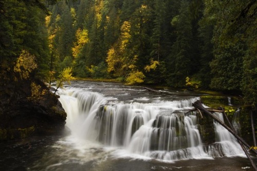 It was a wet and dreary day up in the Gifford Pinchot wilderness area, but the beauty of the fall ma