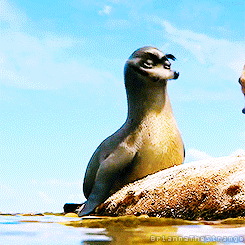 GERALD! GET OFF THE ROCK! SHOVE OFF! OFF! OFF! OFF! OFF! OFF! OFF! {x}