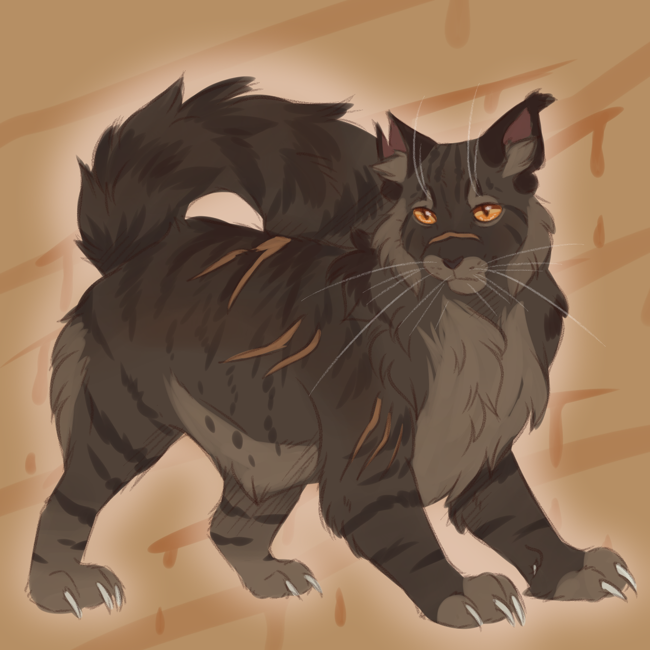 Slugs genetically accurate cats — Tigerstar 2 (Classic black tabby with low  white