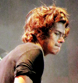 blamestyles:  Harry Styles 'Hair Porn' - South America (WWA Tour) 