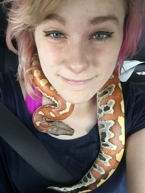 honeyformytea: dovahking22: honeyformytea: cup-noodle: honeyformytea:  Snake selfies with my darling