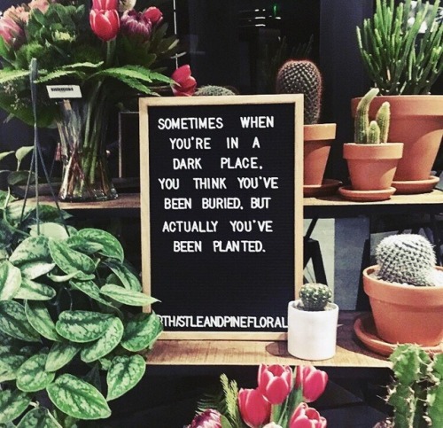 lovelustquotes:
“Sometimes when you’re in a dark place, you think you’ve been buried, but actually you’ve been planted.” 🌿🌱 