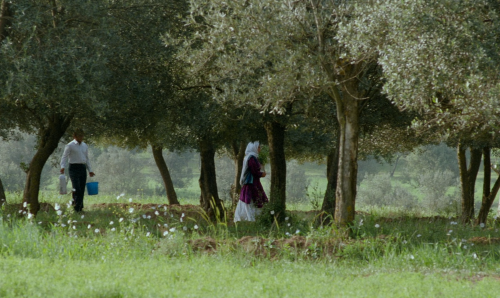 nouvellevaguefr:Through the Olive Trees, 1994