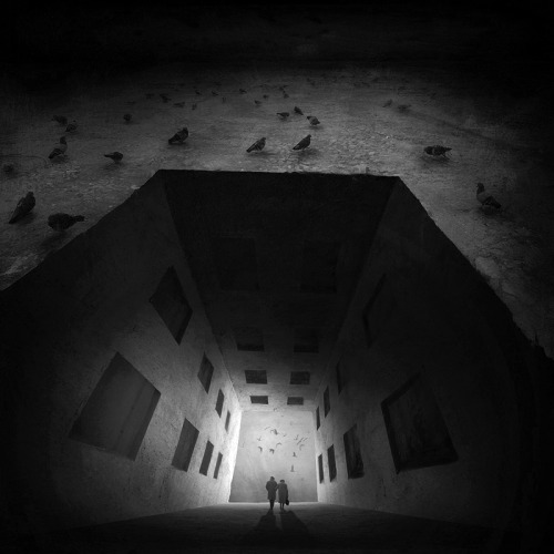 fer1972:Black and White Photomanipulations by Marcin Sacha