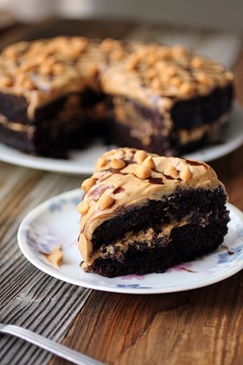 blondesquats:  imsav-age:  missmirandaaraee:  vegan-yums:  Chocolate peanut butter cake / Recipe    oh god  blondesquats lawd look at this appetizer.  Omfg😫😫😫😫😫😫