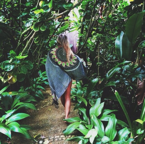 tribes-and-tropics:  hawaiian-palms:   ☯tropical and jungle blog ☯   tropical blog   ❁❁ Calm and rel