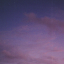 midnightfleur
