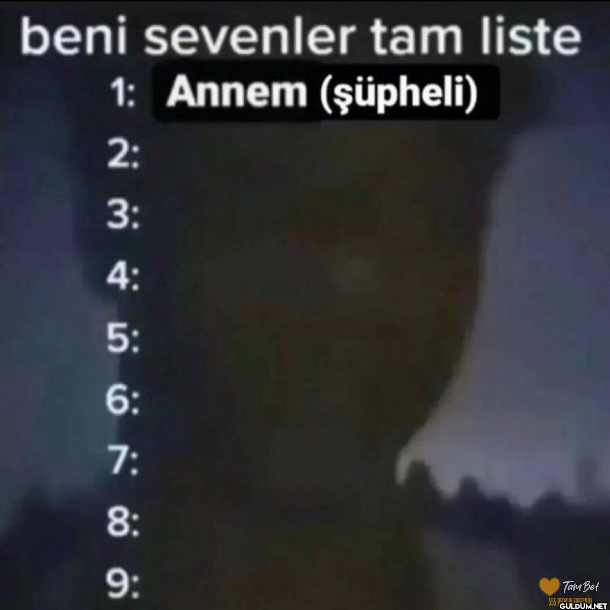 beni sevenler tam liste 1:...