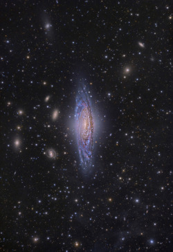 the-wolf-and-moon:    NGC 7331, Pegasus Eye