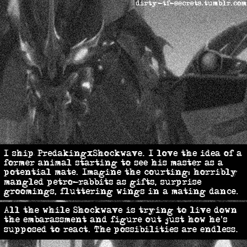 dirty-tf-secrets:  “I ship PredakingxShockwave. I love the idea of a former animal starting to see his master as a potential mate. Imagine the courting: horribly mangled petro-rabbits as gifts, surprise groomings, fluttering wings in a mating dance.