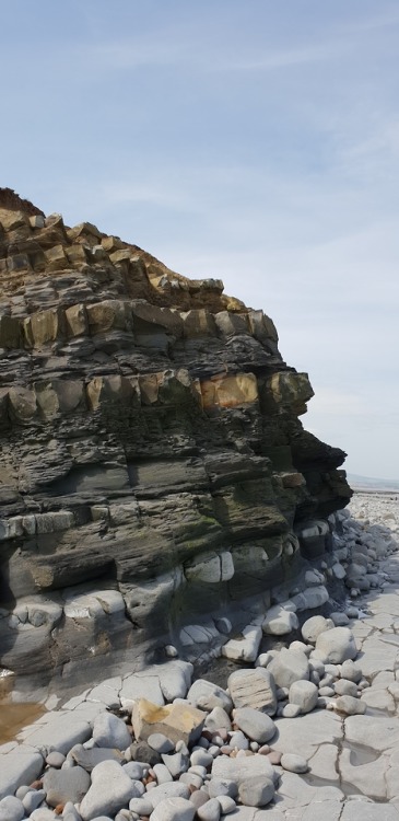 geologicaltravels:2018: Folding and faulting in the early Jurassic Blue Lias Formation, near Kilve, 