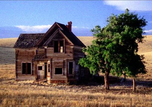 criterioncloset:My Own Private Idaho (1991) dir. Gus Van Sant