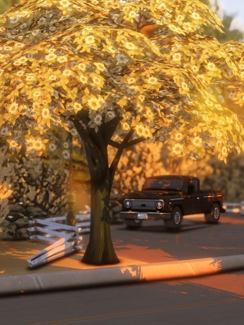 leafywillow - leafywillow