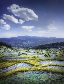 travelgurus:           Terraces of Yuanyang, China by Shong-Na Yang              Travel Gurus - Follow for more Nature Photographies!  