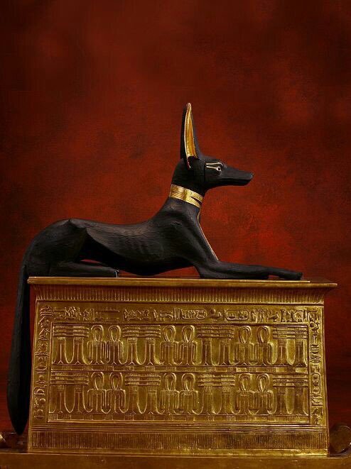 grandegyptianmuseum:Statue of the jackal god Anubis from the tomb of Tutankhamun