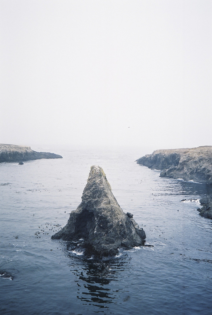 touchdisky:  Untitled // dream states