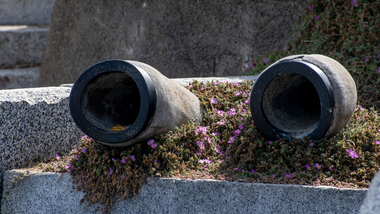 Tumblr Photo