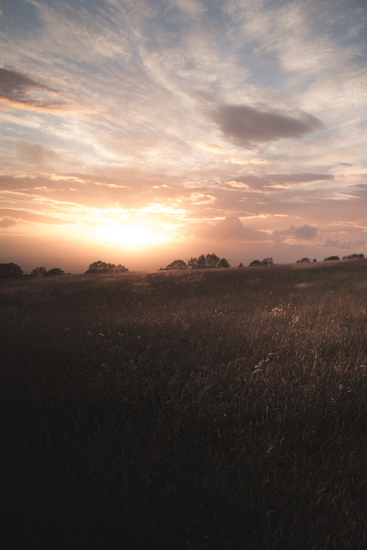 freddie-photography:  Summer sun on Fields and Forests. Gloucestershire, UK  By Freddie