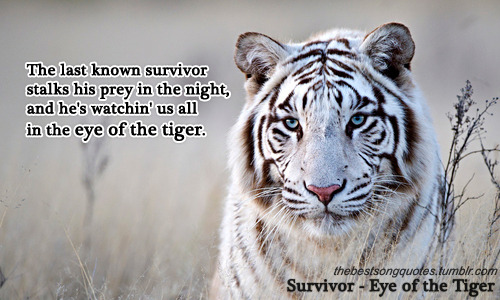 Eye of the Tiger – Survivor (song)