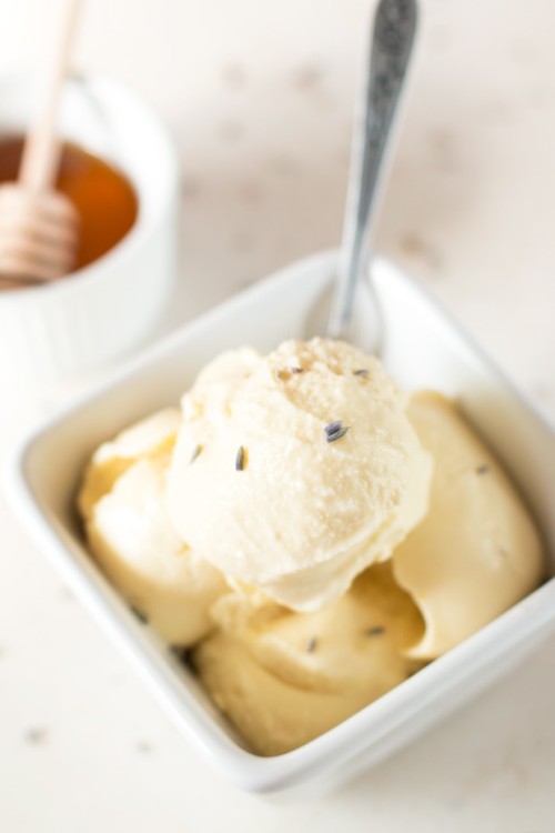 foodffs:Lavender Honey Ice CreamReally nice recipes. Every hour.Show me what you cooked!