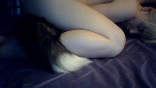 fetishbloodyfetish:  Fox tail!