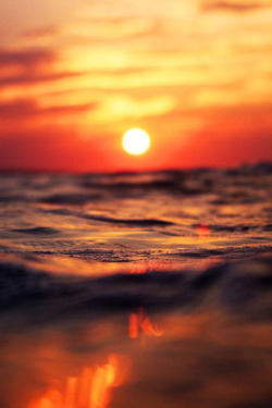 earthyday:  Sunset © Deladoni  