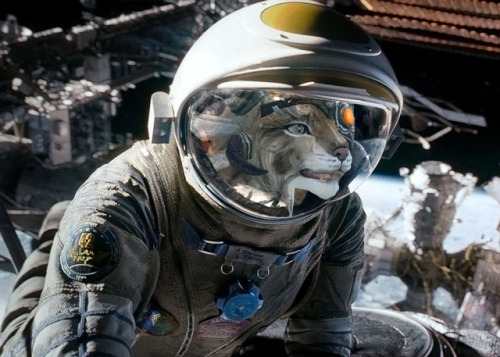 Perhaps&hellip; I have been watching Gravity for too long now&hellip; Gal, get out of Ryan Stone&rsq