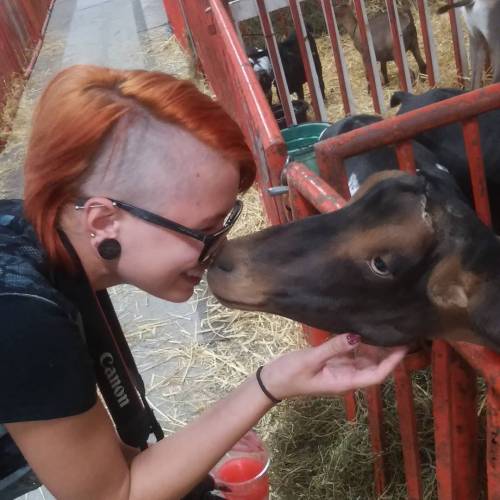 Me &amp; my new boyfriend. Sorry, @travismaximus. #goats #goatgirl #crazyanimallady