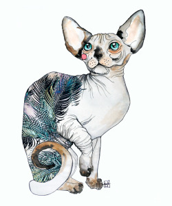 saraligariwatercolors:  sphynx cats by Sara