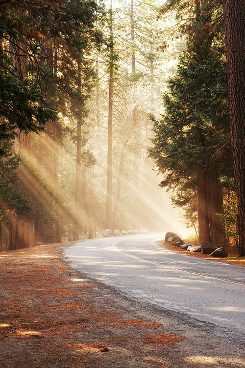 You´re my Light