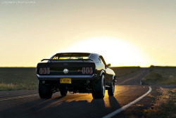 musclecarblog:  QtrPonyLastRays by Lunchbox