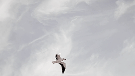 tyblackthorn:Emma felt her heart turn over. “Jules, being parabatai is a big deal,” she said. “It’s—