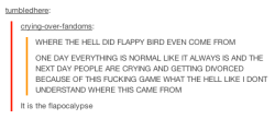 thelastchickennugget:  2014: The year of the Flappy Bird 