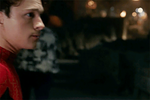 Peter + MJ In No Way Home