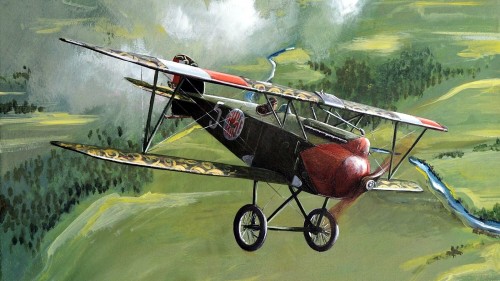 1919 Albatros DIII Oeffag Merian Cooper - Robert Firszt