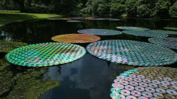 azizalbraik: Colorful Floating Waterlilies Made of 65,000 Recycled CDs by Bruce Monro 