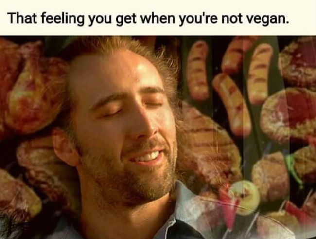 hyperzephyrianlives: tripropellant: as a vegan, i always refer to non-vegans as “jeff