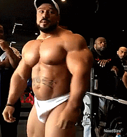 tuffsnuff:Is it actually possible to get enough of Roelly Winklaar or is that just a myth?