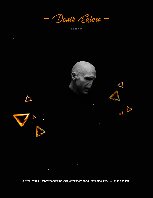 —  A E S T H E T I C S —Death Eaters❝They were a motley collection; a mixture of the weak seeking pr