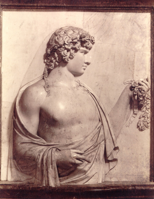 stonemen:  Antinous. Discovered at Villa Adriana in 1735. Collezione Cardinale Albani. Casino Villa Albani (nowadays Villa Torlonia). Roma