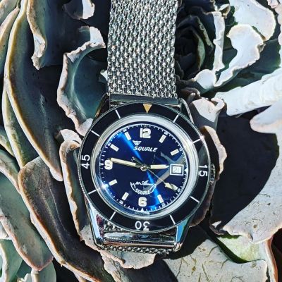 Instagram Repost


karmicav8r

#Squale30Atmos looking quite #succulent today!

See what I did there!

#squalewatches #SqualeSub39 #Squale [ #squalewatch #monsoonalgear #divewatch #toolwatch #watch ]