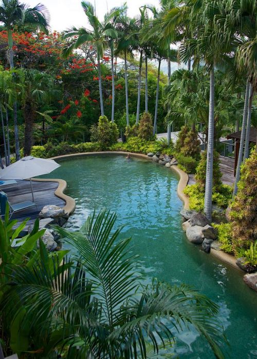 Tropical Queensland, Port Douglas / Australia (by jane drumsara).