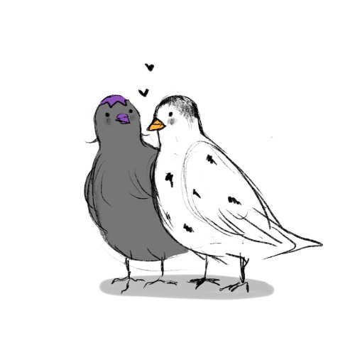 Bruabba Birbs