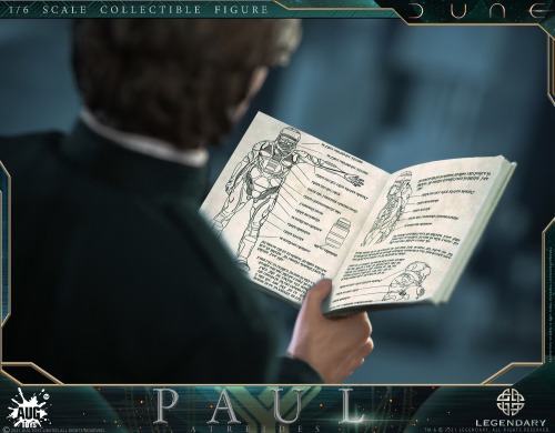 The Paul Atreides 1:6 Scale Collectible Figure Aug Toys prototype comes with different hand position