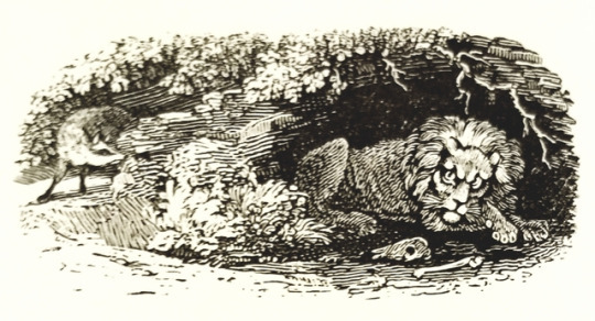 detroitlib: #Caturday! From our stacks: Illustrations from A Collection of One Hundred